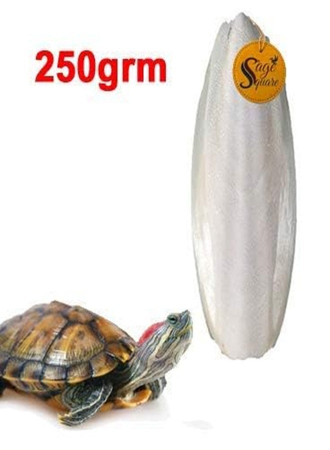 سايج سكوير سيج سكوير مصدر الكالسيوم الطبيعي، عظم الحبار، مكعب معدني طبيعي، كالسيوم للسلاحف (250 غرام) - Image 2